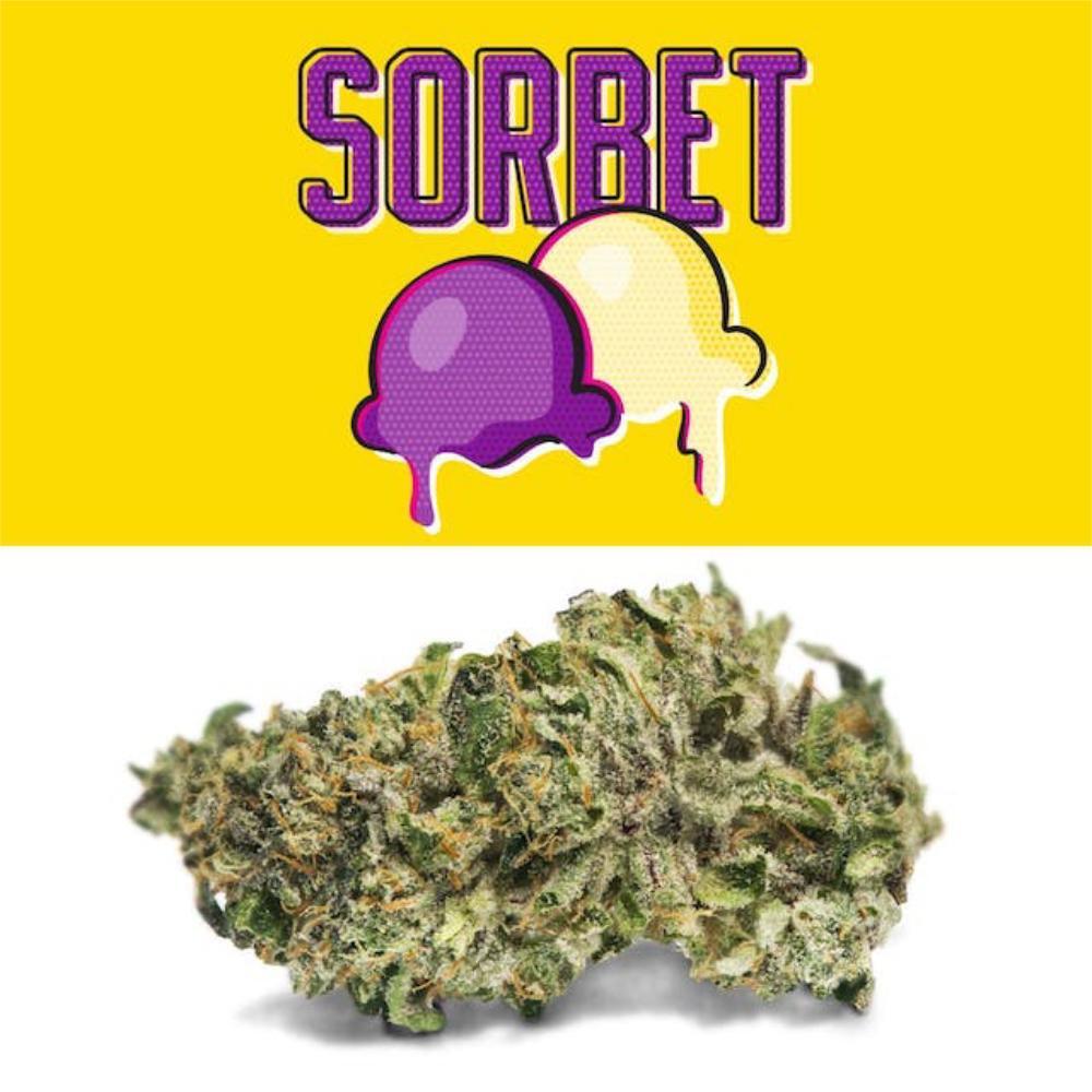 Sorbet